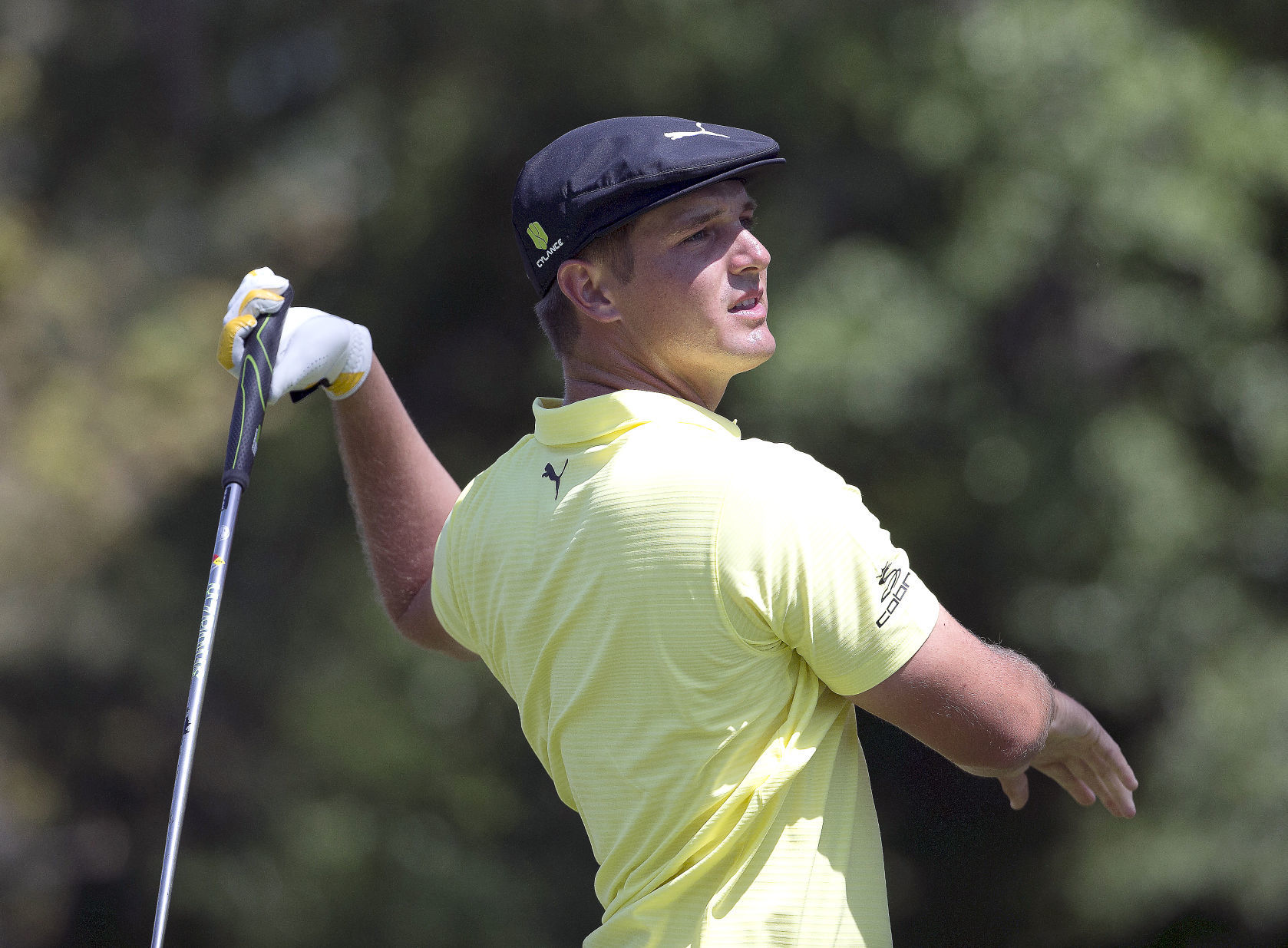 RBC Heritage Golf